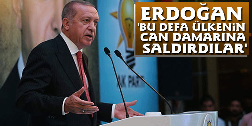 Erdoğan: 'Bu defa ülkenin can damarına saldırdılar'