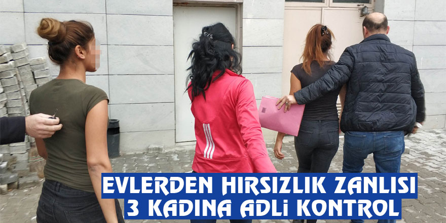 Evlerden hırsızlık zanlısı 3 kadına adli kontrol