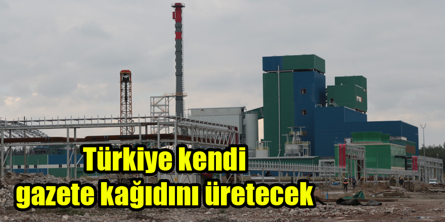 Türkiye kendi gazete kağıdını üretecek