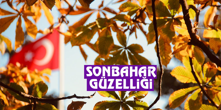 Samsun’da sonbahar güzelliği