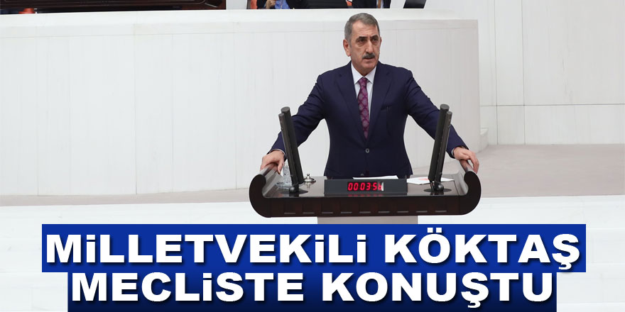 Milletvekili Köktaş Mecliste konuştu