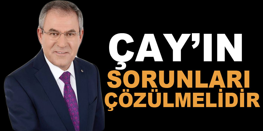 ÇAY’IN SORUNLARI ÇÖZÜLMELİDİR