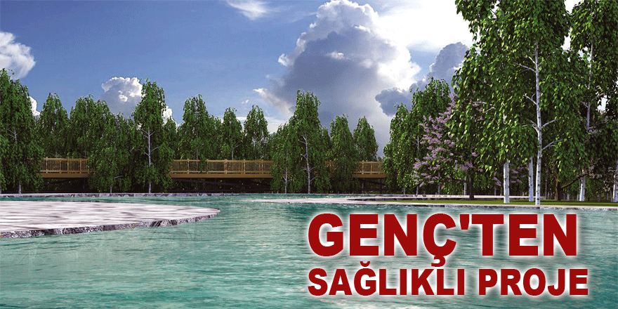 Genç'ten sağlıklı proje