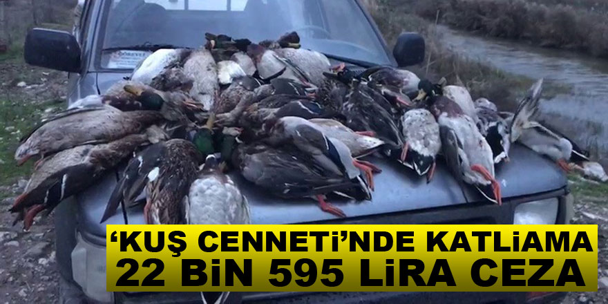 ‘Kuş Cenneti’nde katliama 22 bin 595 lira ceza