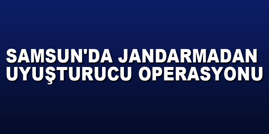 Samsun'da jandarmadan uyuşturucu operasyonu: 16 gözaltı