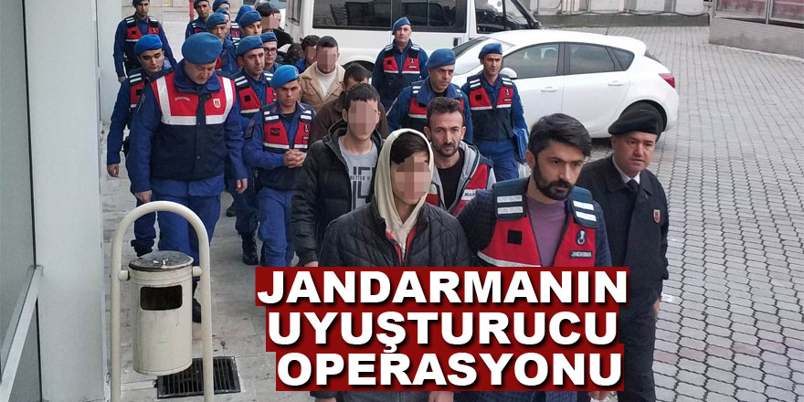 Jandarmanın uyuşturucu operasyonu: 10 şahıs adliyede