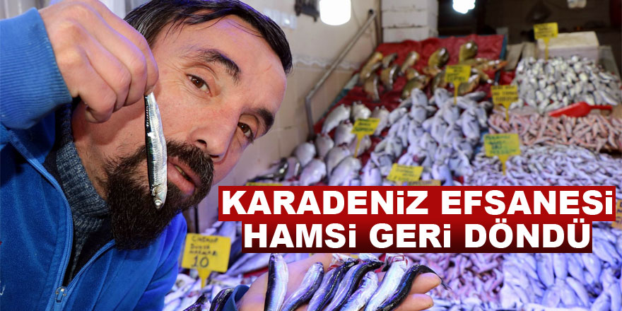 Karadeniz efsanesi hamsi geri döndü