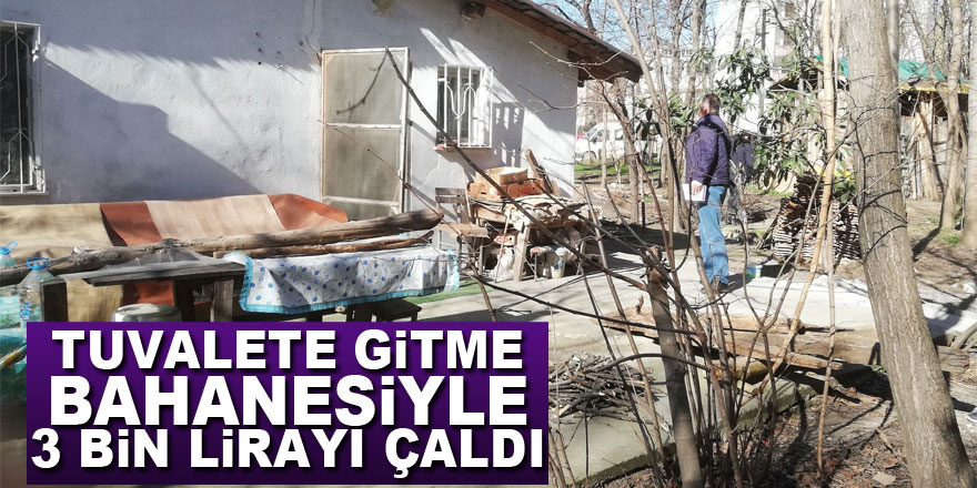 Tuvalete gitme bahanesiyle 3 bin lirayı çaldı