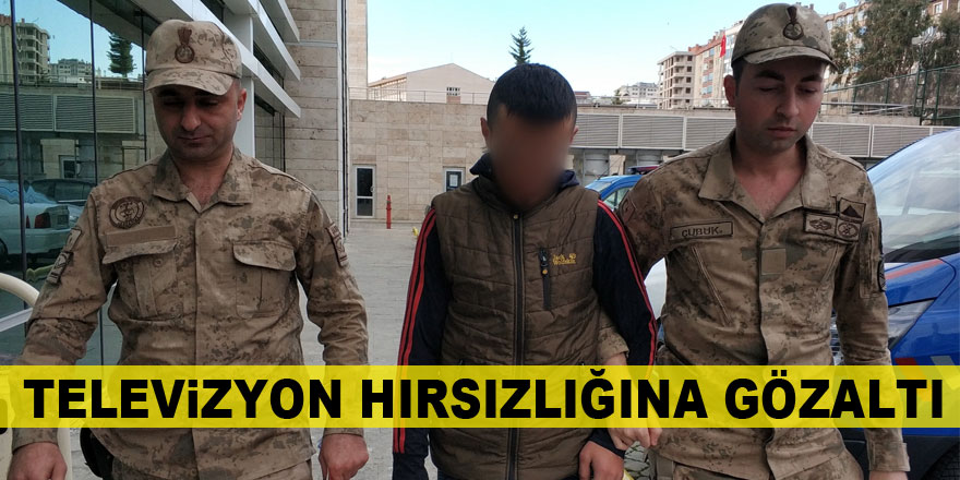 Televizyon hırsızlığına gözaltı