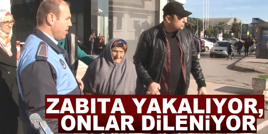 Zabıta yakalıyor, onlar dileniyor