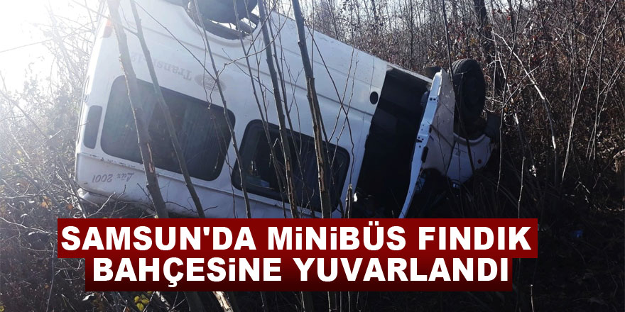 Samsun'da minibüs fındık bahçesine yuvarlandı: 2 yaralı