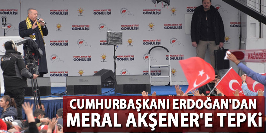 Cumhurbaşkanı Erdoğan'dan Meral Akşener'e tepki
