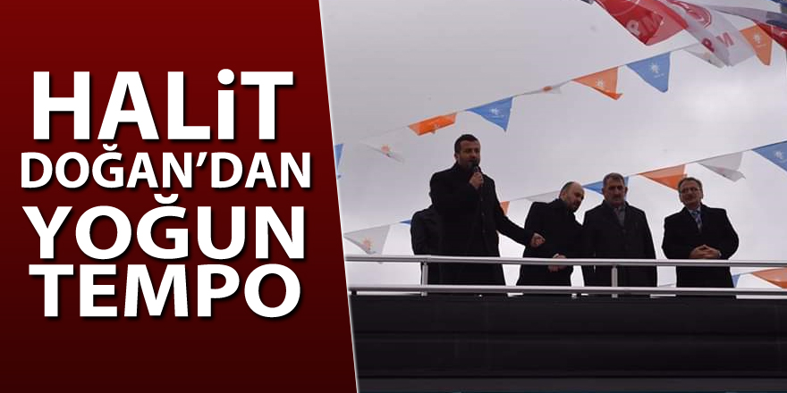 HALİT DOĞAN’DAN YOĞUN TEMPO