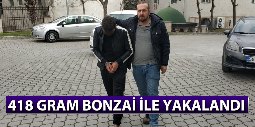 418 gram bonzai ile yakalandı 