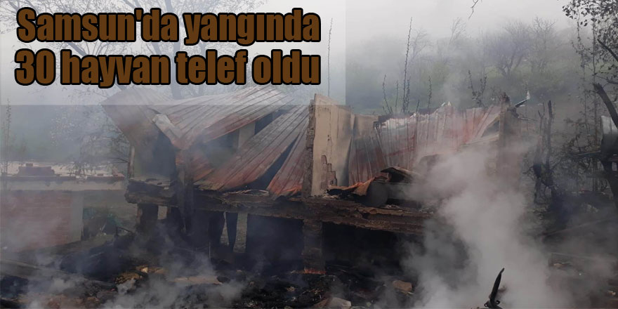 Samsun'da yangında 30 hayvan telef oldu