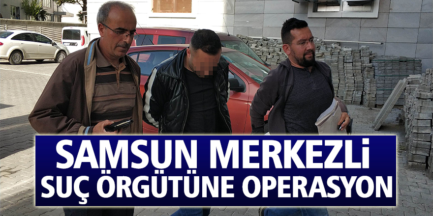 Samsun merkezli suç örgütüne operasyon: 16 gözaltı