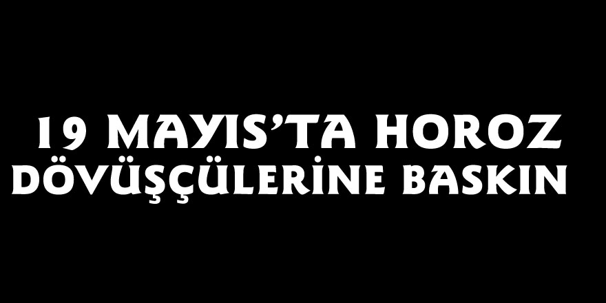 19 Mayıs’ta horoz dövüşçülerine baskın