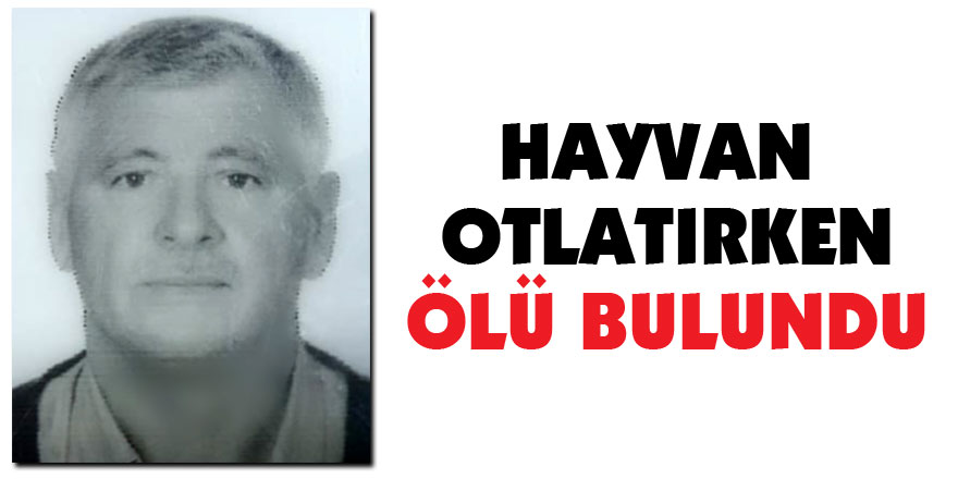 Hayvan otlatırken ölü bulundu