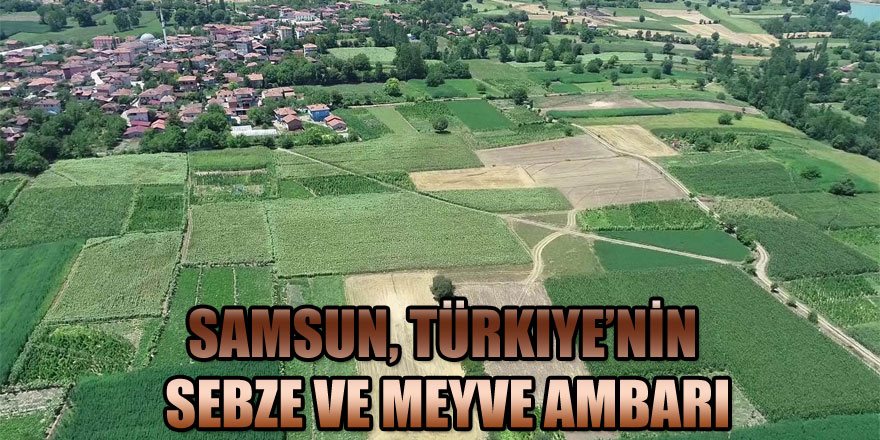 Samsun, Türkiye’nin sebze ve meyve ambarı  