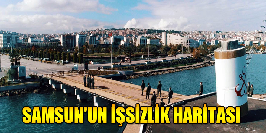 Samsun'un işsizlik haritası    