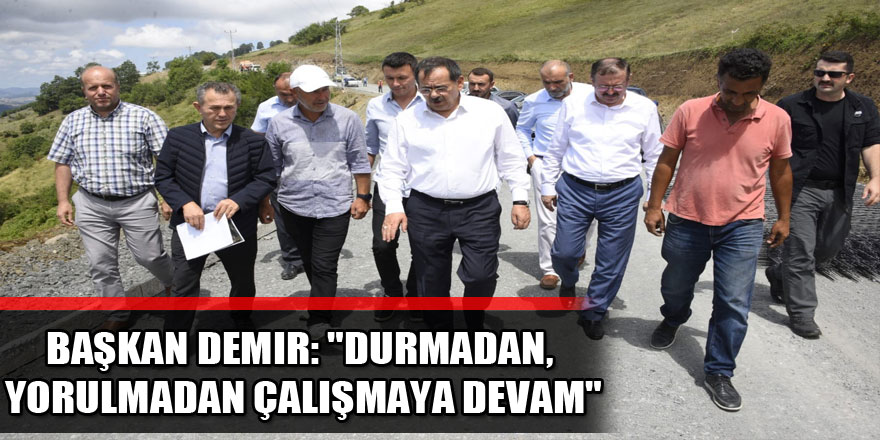 Başkan Demir: "Durmadan, yorulmadan çalışmaya devam" 