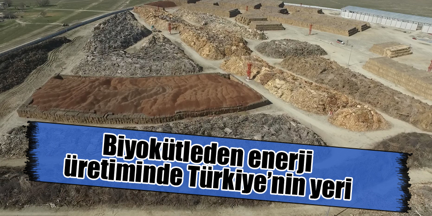 Biyokütleden enerji üretiminde Türkiye’nin yeri