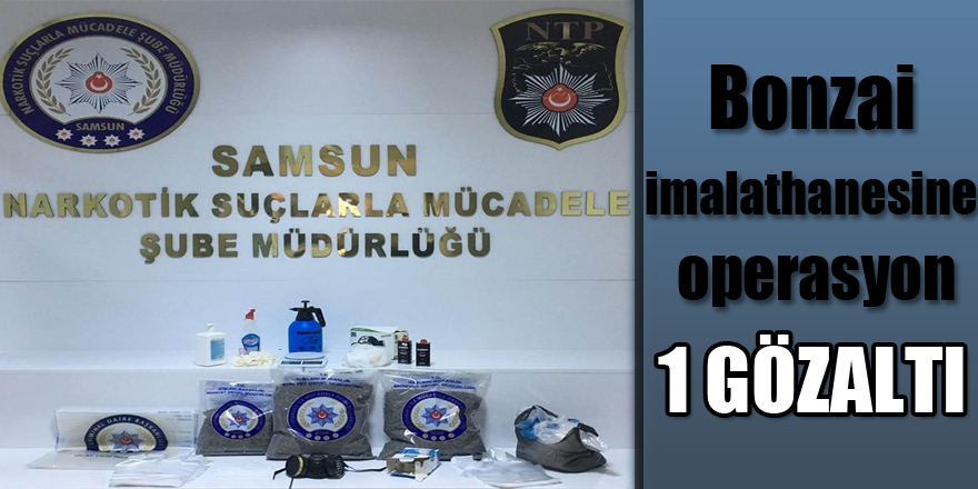 Samsun'da bonzai imalathanesine operasyon: 1 gözaltı