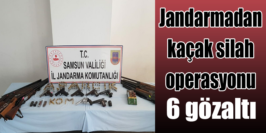 Samsun'da jandarmadan kaçak silah operasyonu: 6 gözaltı
