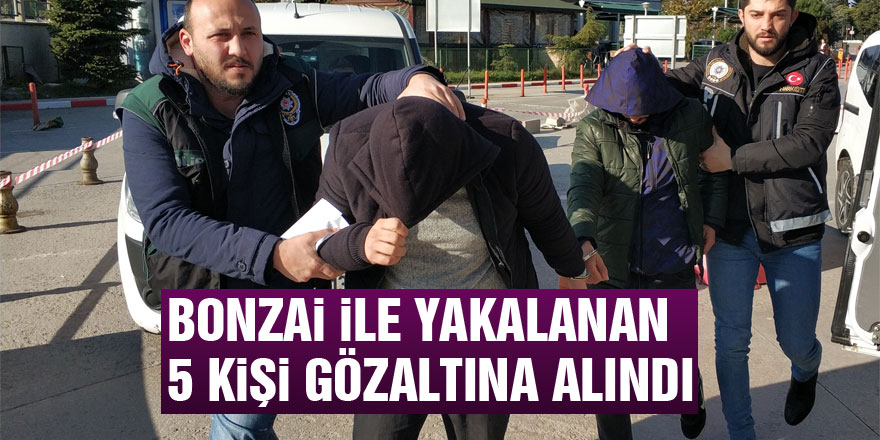 Bonzai ile yakalanan 5 kişi gözaltına alındı