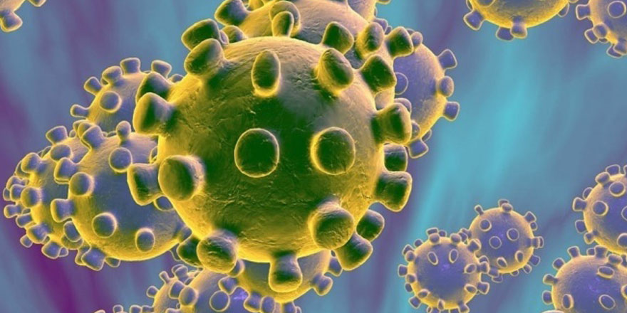 Bakanlık duyurdu: Korona virüs test sonuçları e-Nabız uygulamasında