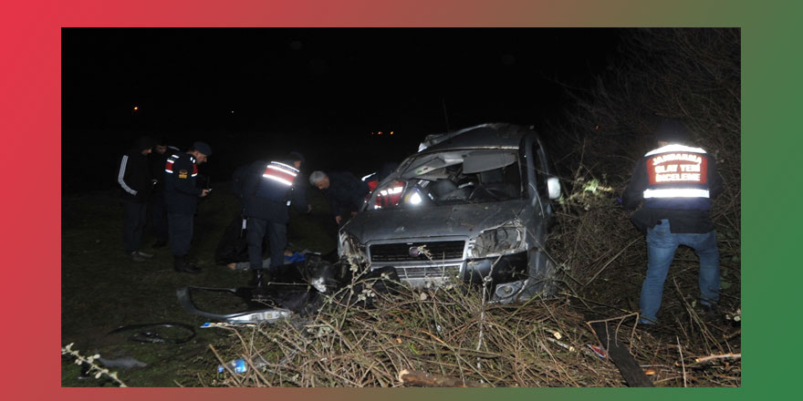 Ticari araç ağaca çarptı: 1 ölü, 2 yaralı  