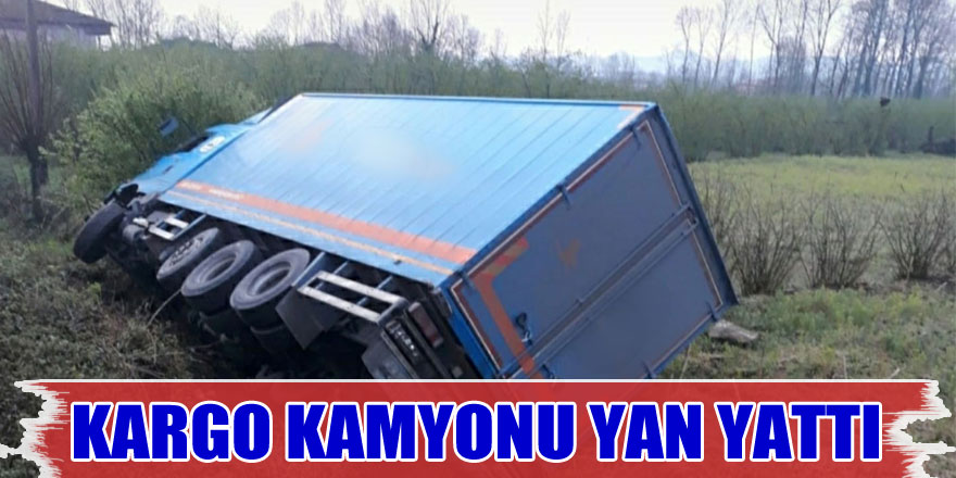 Samsun'da kargo kamyonu şarampole yuvarlandı: 1 yaralı