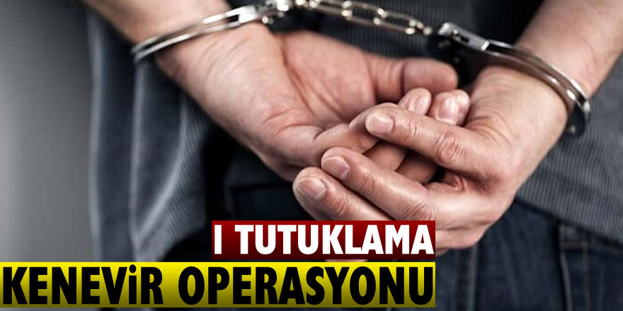 Kenevir operasyonunda 1 tutuklama  