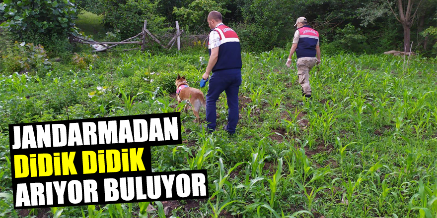 Jandarmadan didik didik arıyor buluyor