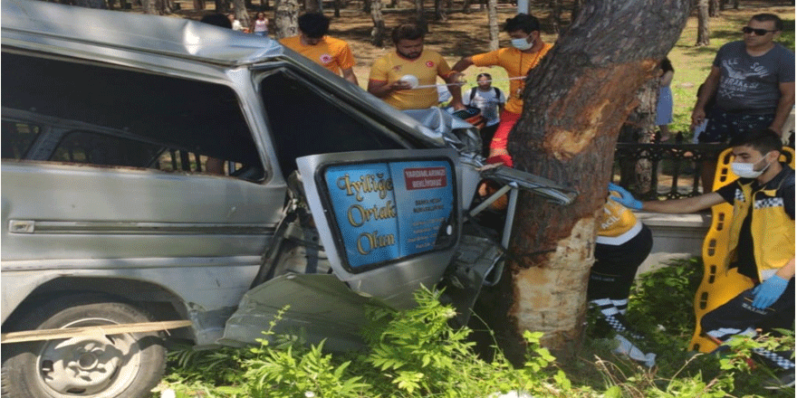 Samsun'da kamyonet ağaca çarptı: 2 yaralı