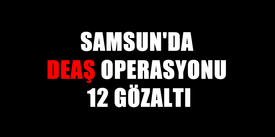 Samsun'da DEAŞ operasyonu: 12 gözaltı