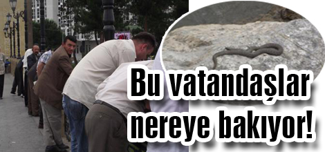 Bu vatandaşlar nereye bakıyor!