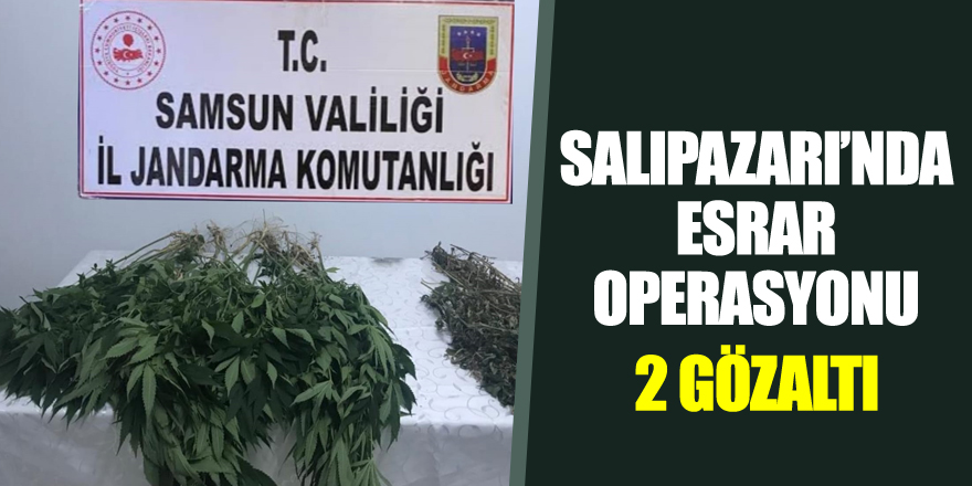 Salıpazarı’nda esrar operasyonu:2 gözaltı