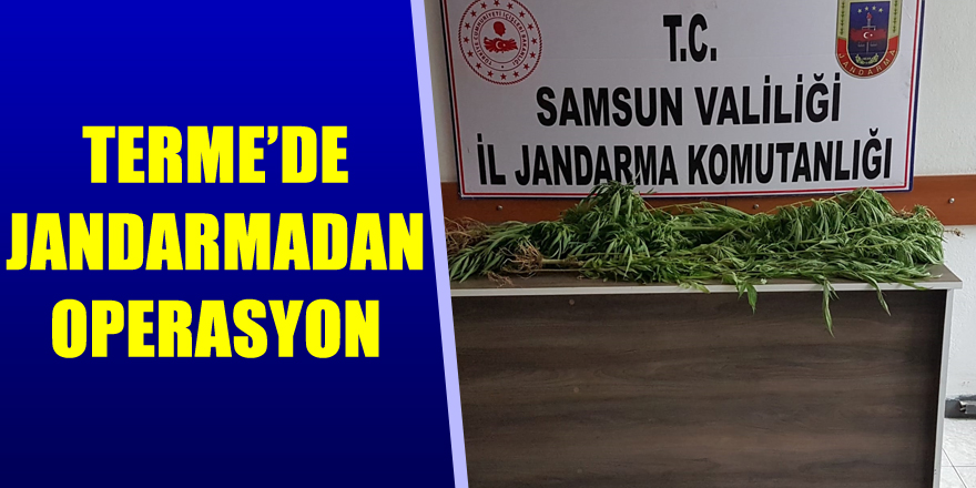 Terme’de jandarmadan operasyon