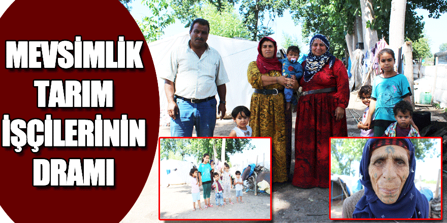 MEVSİMLİK TARIM İŞÇİLERİNİN DRAMI