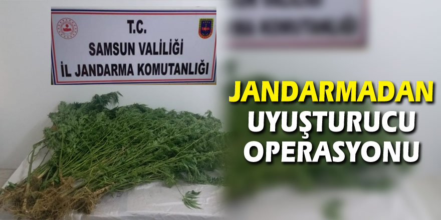 Jandarmadan uyuşturucu operasyonu