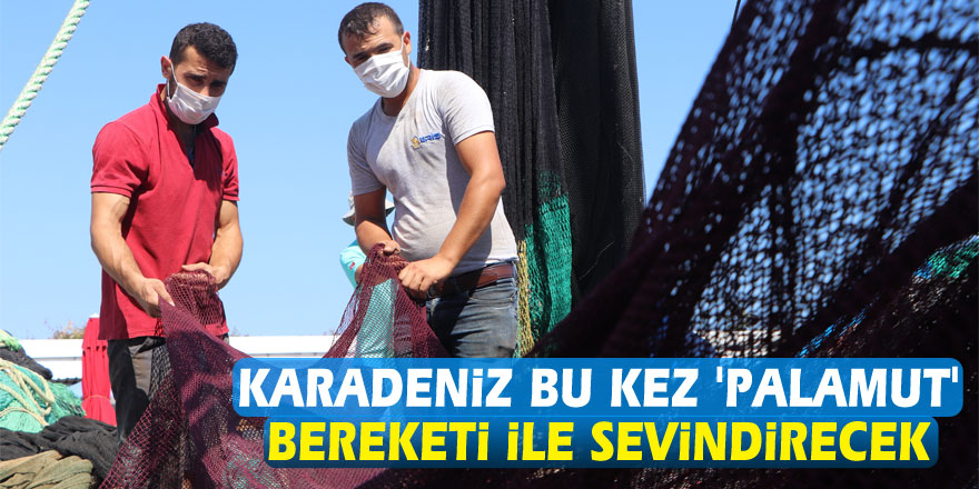 Karadeniz bu kez 'palamut' bereketi ile sevindirecek