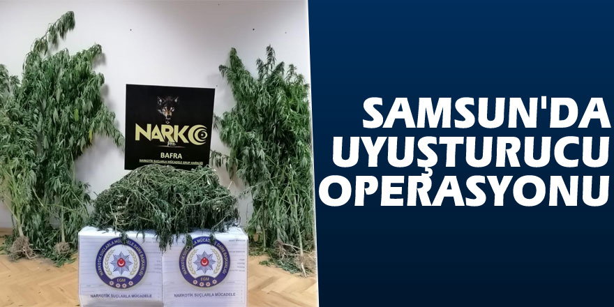 Samsun'da uyuşturucu operasyonu