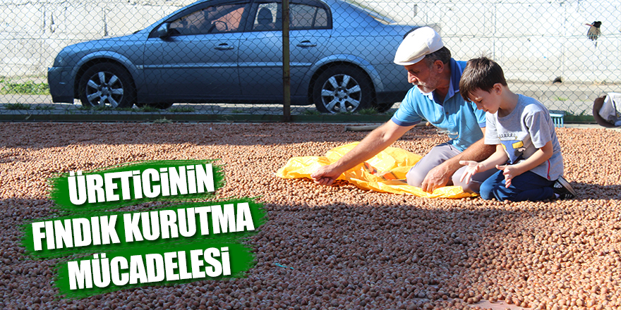 Üreticinin fınfık kurutma mücadelesi