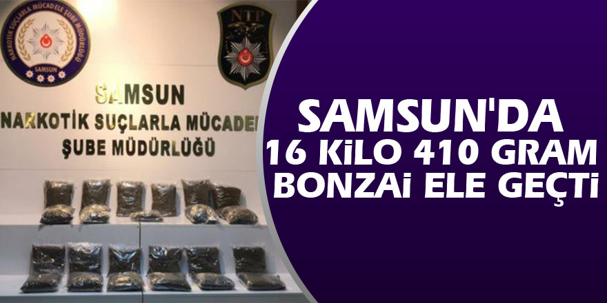 Samsun'da 16 kilo 410 gram bonzai ele geçti: 6 gözaltı