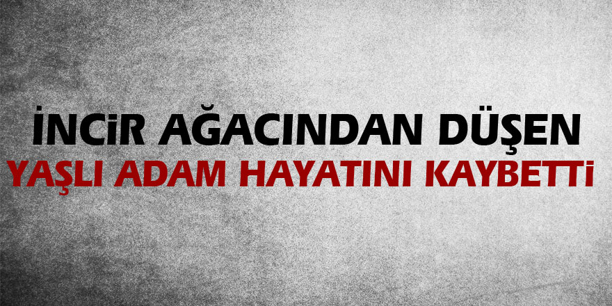 İncir ağacından düşen yaşlı adam hayatını kaybetti