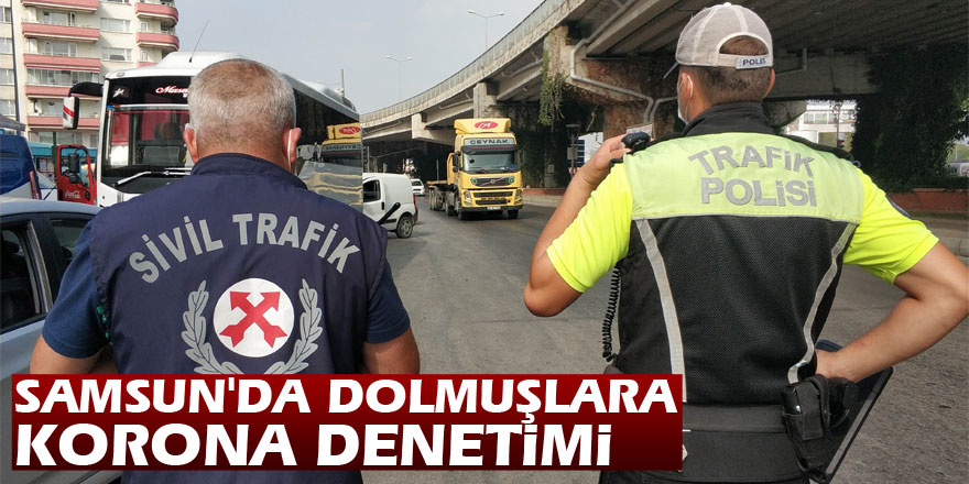 Samsun'da dolmuşlara korona denetimi