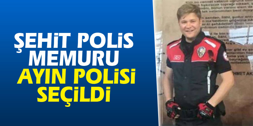 Kazada şehit olan polis memuru ayın polisi seçildi 