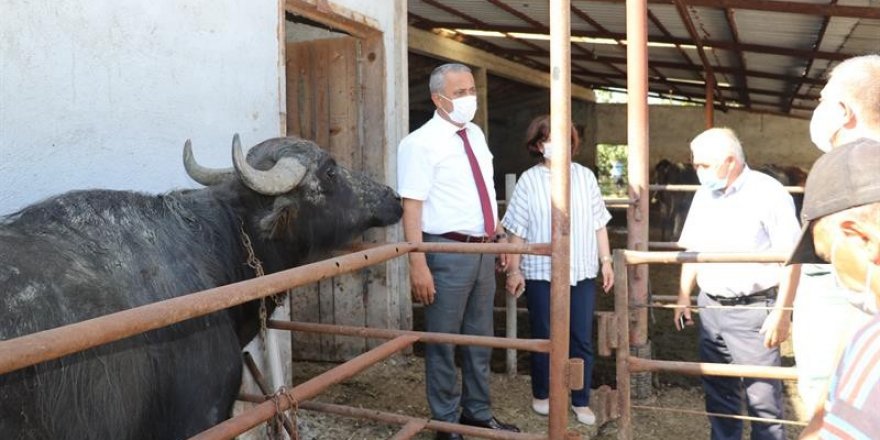 Samsun’da “Mandalarda Suni Tohumlama Projesi” başladı 