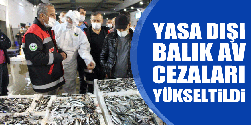 Yasa dışı balık av cezaları 50 bin TL’ye kadar yükseltildi
